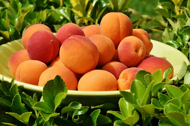apricots-1522680_640.jpg